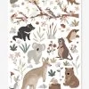 Stickers Animaux D'Australie Lilydale LILIPINSO Gris - Lilipinso
